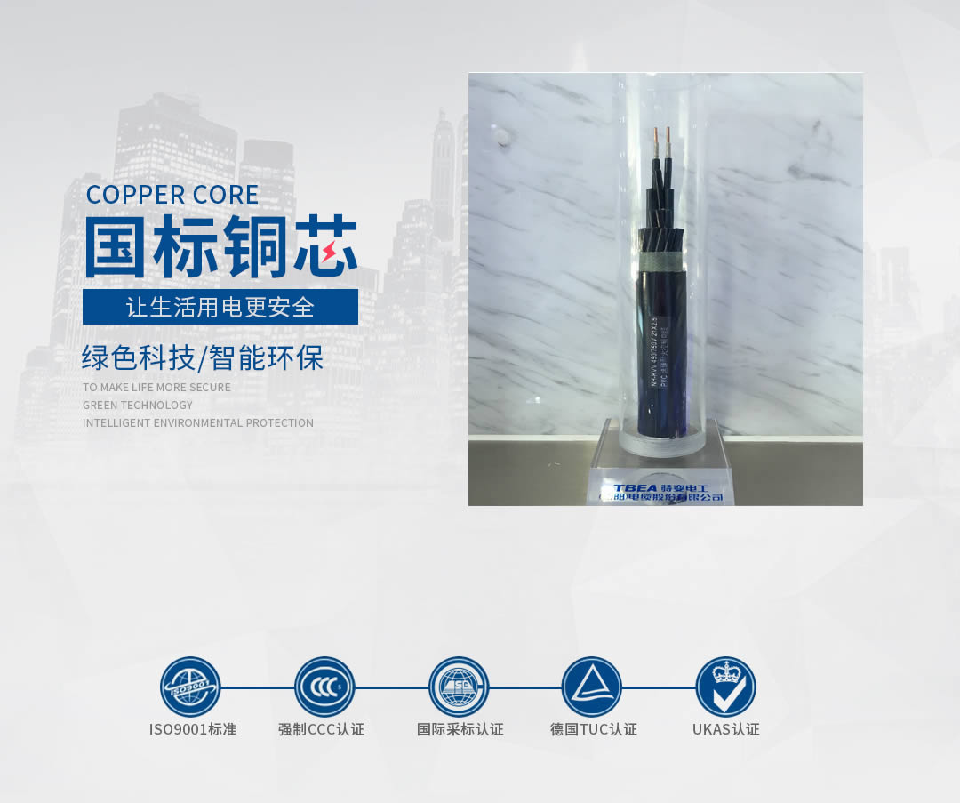 四川节造电缆 四川节造电缆