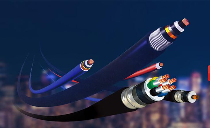 ����ϵ��