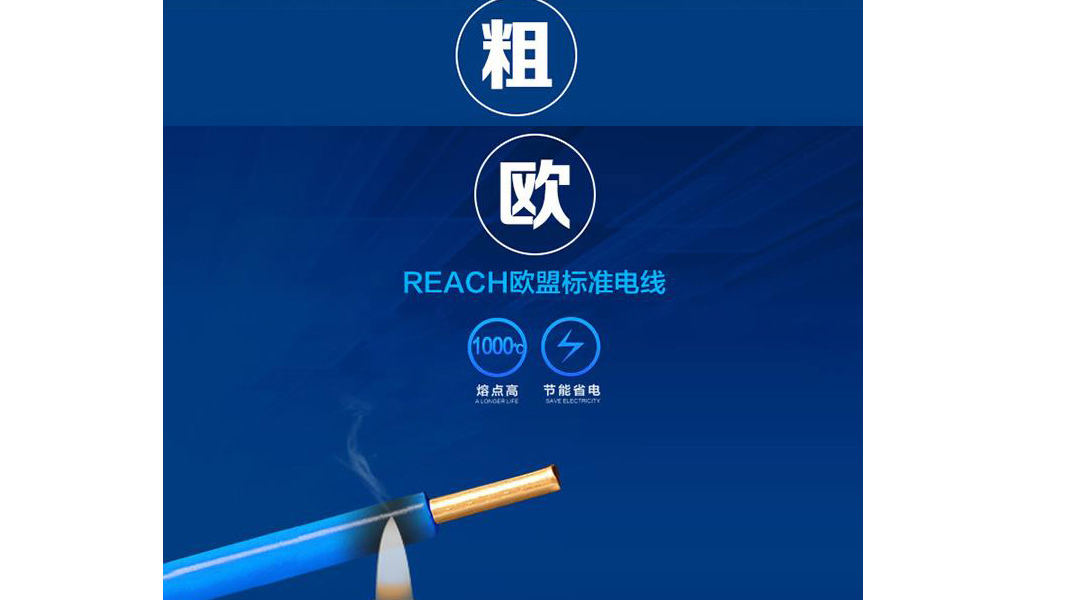 XPJ(�й���½)���޹�˾����